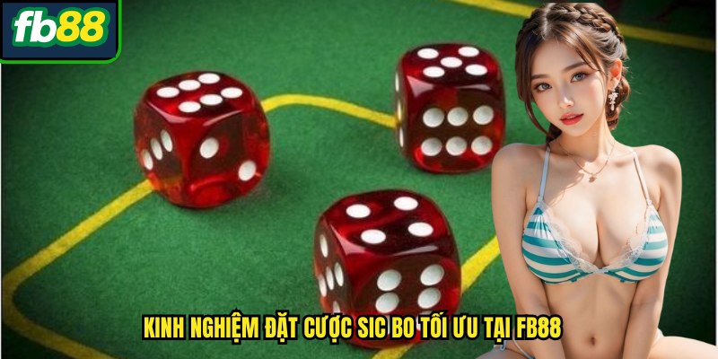 Kinh nghiệm đặt cược Sic bo tối ưu tại FB88